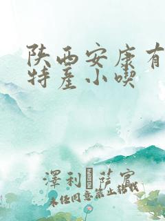 陕西安康有什么特产小吃