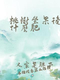 桃树坐果后要施什么肥