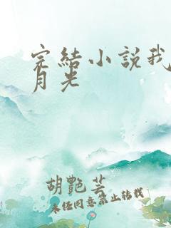 完结小说我的黑月光