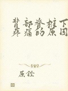 背部脊椎下部位疼痛的原因