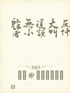 殷无道大反派原著小说叫什么