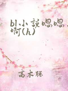 bl小说嗯嗯…啊(h) bl小说嗯嗯…啊(h)