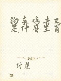 狗来鸡去又一年是什么生肖?