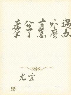 老公有外遇还怀孕了怎么办