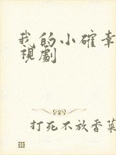 我的小确幸 电视剧