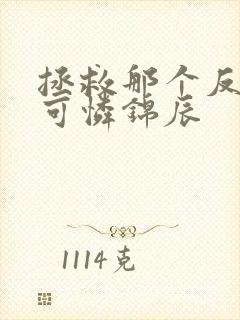 拯救那个反派小可怜锦辰