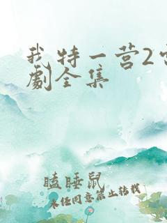 我特一营2电视剧全集