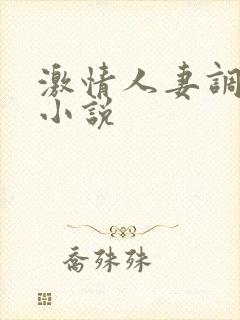 激情人妻调教奴小说
