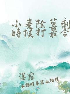 小麦除草剂什么时候打最合适