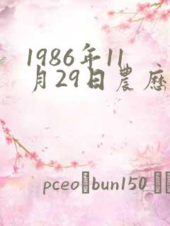 1986年11月29日农历生辰八字
