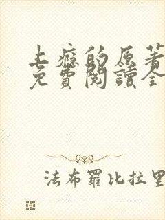 上瘾的原著小说免费阅读全文