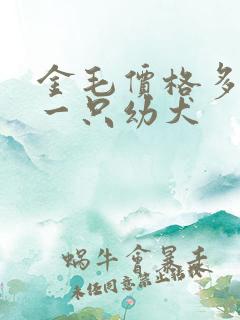 金毛价格多少钱一只幼犬