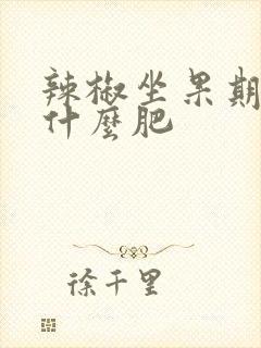 辣椒坐果期需要什么肥