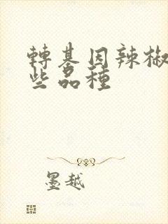 转基因辣椒有哪些品种