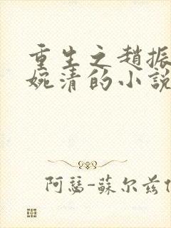 重生之赵振国宋婉清的小说 重生之赵振国宋婉清的小说