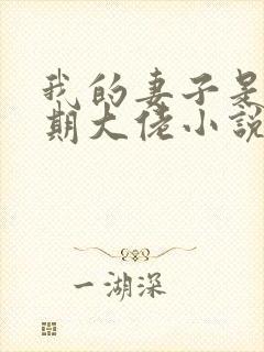 我的妻子是大乘期大佬小说
