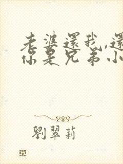 老婆还我,还当你是兄弟小说免费阅读