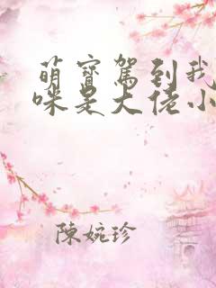 萌宝驾到我的妈咪是大佬小说
