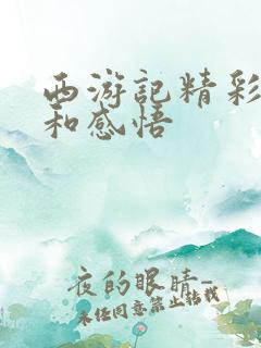 西游记精彩句段和感悟