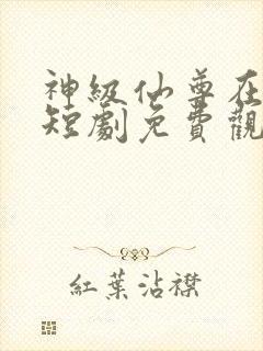 神级仙尊在都市短剧免费观看