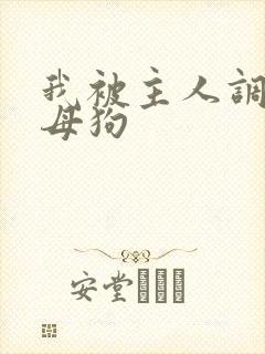 我被主人调教成母狗 我被主人调教成母狗