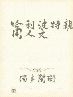 哈利波特亲世代同人文