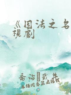 《因法之名》电视剧
