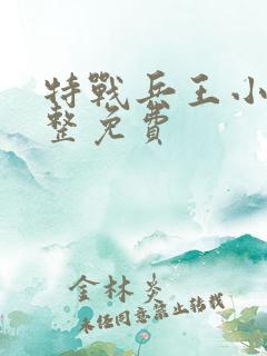 特战兵王小说完整免费 特战兵王小说完整免费
