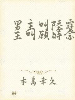 男主叫陆霆骁女主叫顾时念的小说