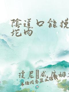 阴道口能摸到一坨肉