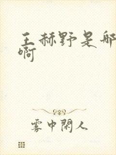 王赫野是哪里人啊