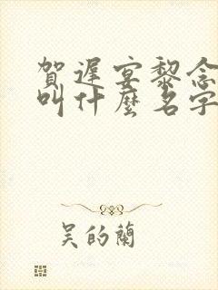 贺迟宴黎念小说叫什么名字 贺迟宴黎念小说叫什么名字