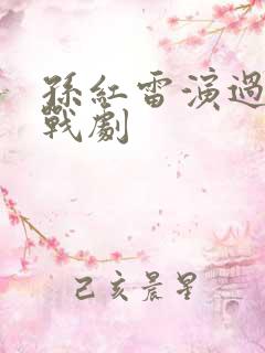 孙红雷演过的谍战剧