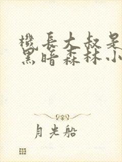 机长大叔是饿狼黑暗森林小说
