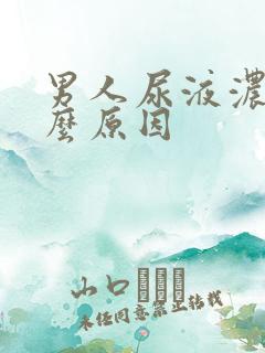 男人尿液浓黄什么原因