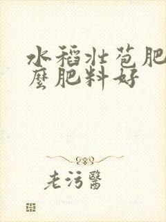 水稻壮苞肥用什么肥料好
