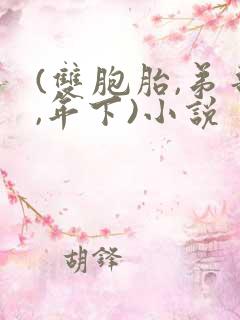 (双胞胎,弟哥,年下)小说