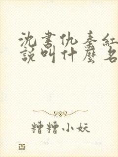 沈书仇秦红衣小说叫什么名字
