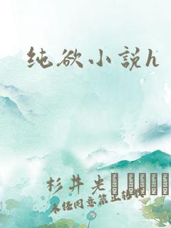 纯欲小说h