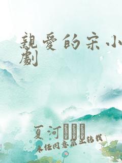 亲爱的宋小姐短剧