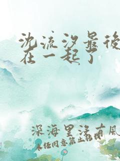 沈流汐最后和谁在一起了