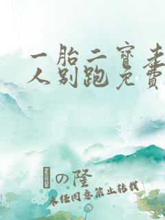一胎二宝老婆大人别跑免费阅读