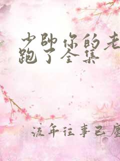 少帅你的老婆又跑了全集