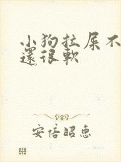 小狗拉屎不成形还很软