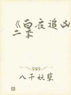《白夜追凶》第二季