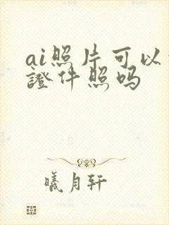 ai照片可以当证件照吗
