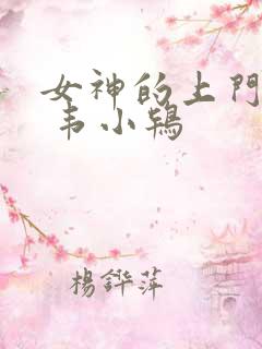 女神的上门豪婿 韦小鸨