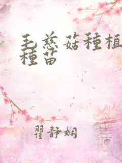 毛慈菇种植基地种苗