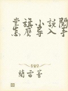 掌旗小说阅读器怎么导入手表