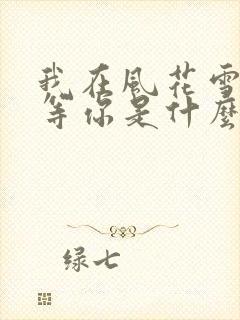 我在风花雪月里等你是什么小说